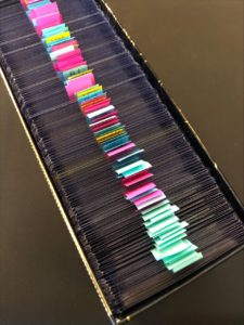 pokemon cards storage